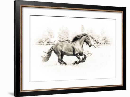 The Two Friends-Sebastian Graf-Framed Photographic Print