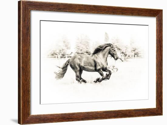 The Two Friends-Sebastian Graf-Framed Photographic Print