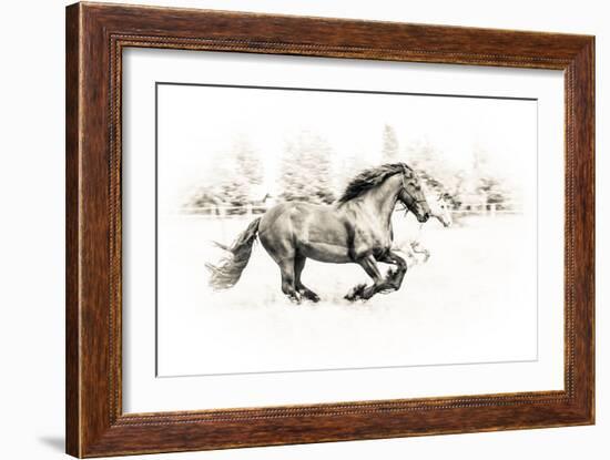 The Two Friends-Sebastian Graf-Framed Photographic Print