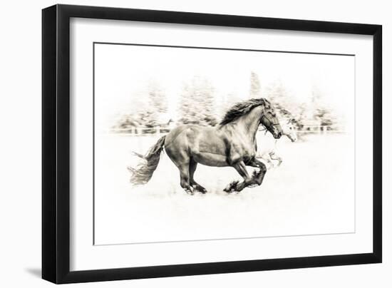 The Two Friends-Sebastian Graf-Framed Photographic Print