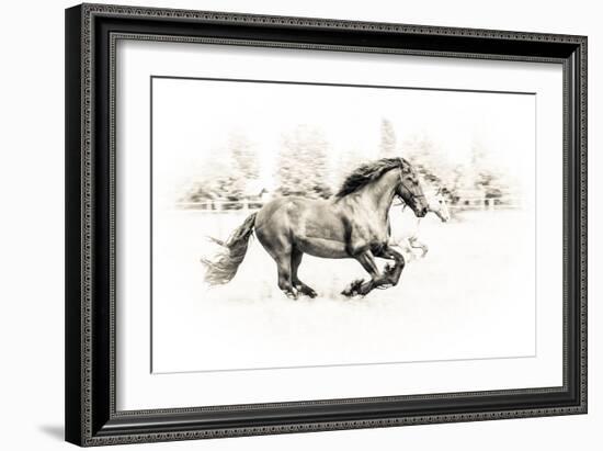 The Two Friends-Sebastian Graf-Framed Photographic Print