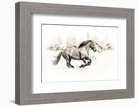 The Two Friends-Sebastian Graf-Framed Photographic Print