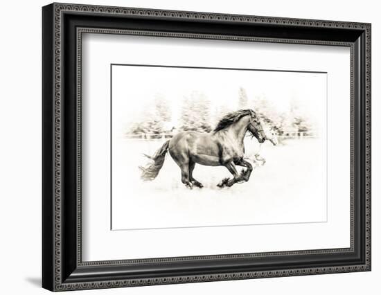 The Two Friends-Sebastian Graf-Framed Photographic Print