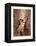 The Two Goats-Gustave Dore-Framed Premier Image Canvas