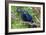 The Two Hyacinth Macaw-Howard Ruby-Framed Photographic Print