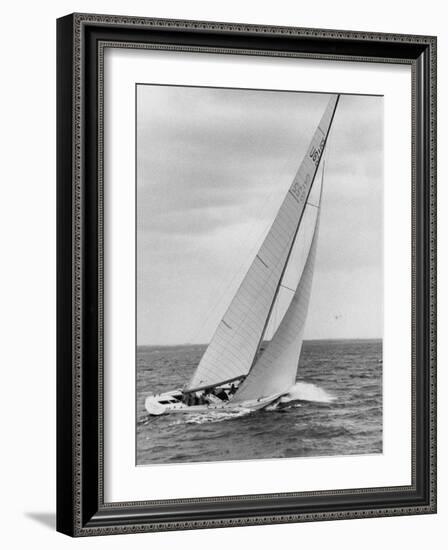 The Two Sail Sailboat Vigorously Gliding Through the Water During the America's Cup Trail-George Silk-Framed Photographic Print