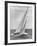 The Two Sail Sailboat Vigorously Gliding Through the Water During the America's Cup Trail-George Silk-Framed Photographic Print