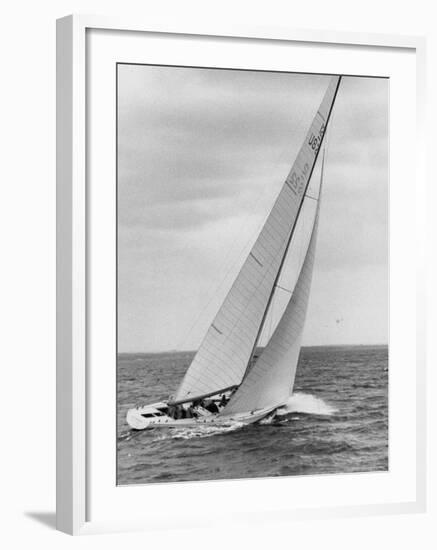 The Two Sail Sailboat Vigorously Gliding Through the Water During the America's Cup Trail-George Silk-Framed Photographic Print