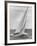 The Two Sail Sailboat Vigorously Gliding Through the Water During the America's Cup Trail-George Silk-Framed Photographic Print