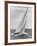 The Two Sail Sailboat Vigorously Gliding Through the Water During the America's Cup Trail-George Silk-Framed Photographic Print