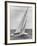 The Two Sail Sailboat Vigorously Gliding Through the Water During the America's Cup Trail-George Silk-Framed Photographic Print