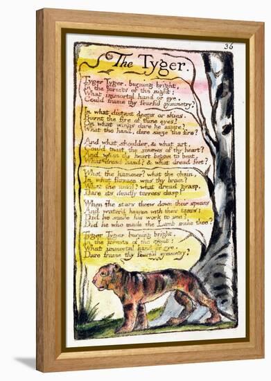 The Tyger', Plate 36 (Bentley 42) from 'Songs of Innocence and of Experience' (Bentley Copy L)-William Blake-Framed Premier Image Canvas