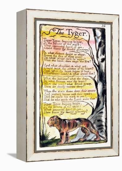 The Tyger', Plate 36 (Bentley 42) from 'Songs of Innocence and of Experience' (Bentley Copy L)-William Blake-Framed Premier Image Canvas
