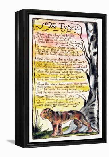 The Tyger', Plate 36 (Bentley 42) from 'Songs of Innocence and of Experience' (Bentley Copy L)-William Blake-Framed Premier Image Canvas