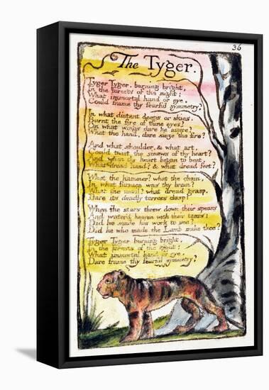 The Tyger', Plate 36 (Bentley 42) from 'Songs of Innocence and of Experience' (Bentley Copy L)-William Blake-Framed Premier Image Canvas