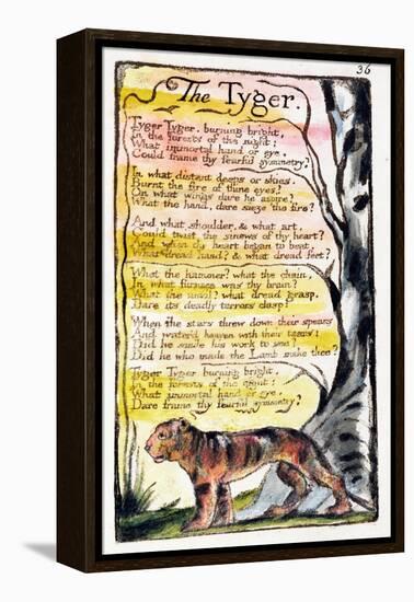 The Tyger', Plate 36 (Bentley 42) from 'Songs of Innocence and of Experience' (Bentley Copy L)-William Blake-Framed Premier Image Canvas