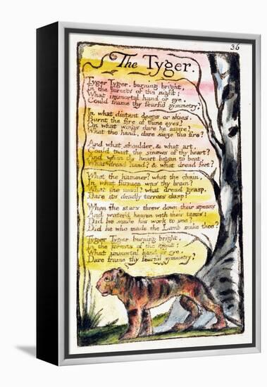 The Tyger', Plate 36 (Bentley 42) from 'Songs of Innocence and of Experience' (Bentley Copy L)-William Blake-Framed Premier Image Canvas