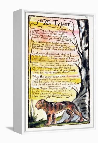 The Tyger', Plate 36 (Bentley 42) from 'Songs of Innocence and of Experience' (Bentley Copy L)-William Blake-Framed Premier Image Canvas