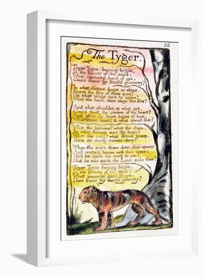 The Tyger', Plate 36 (Bentley 42) from 'Songs of Innocence and of Experience' (Bentley Copy L)-William Blake-Framed Giclee Print