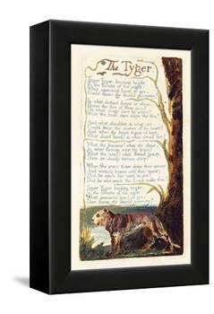 'The Tyger', Plate 41 from 'Songs of Experience', 1794-William Blake-Framed Premier Image Canvas