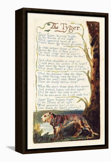 'The Tyger', Plate 41 from 'Songs of Experience', 1794-William Blake-Framed Premier Image Canvas