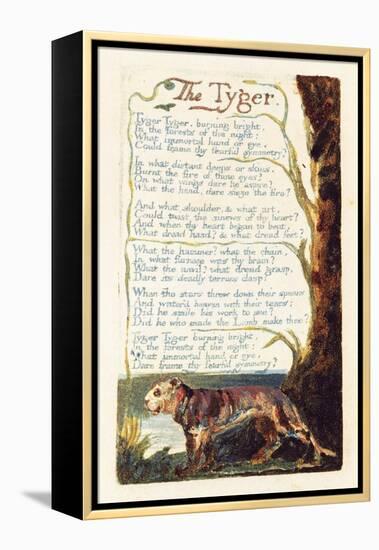 'The Tyger', Plate 41 from 'Songs of Experience', 1794-William Blake-Framed Premier Image Canvas