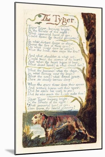 'The Tyger', Plate 41 from 'Songs of Experience', 1794-William Blake-Mounted Giclee Print