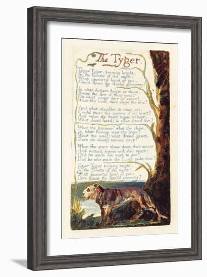 'The Tyger', Plate 41 from 'Songs of Experience', 1794-William Blake-Framed Premium Giclee Print