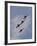 The U.S. Air Force Thunderbirds Fly in Formation-Stocktrek Images-Framed Photographic Print