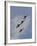 The U.S. Air Force Thunderbirds Fly in Formation-Stocktrek Images-Framed Photographic Print