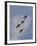 The U.S. Air Force Thunderbirds Fly in Formation-Stocktrek Images-Framed Photographic Print