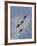 The U.S. Air Force Thunderbirds Fly in Formation-Stocktrek Images-Framed Photographic Print