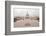 The U.S. Capitol - Washington Dc, United States-Orhan-Framed Photographic Print