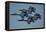 The U.S. Navy Flight Demonstration Squadron, the Blue Angels-null-Framed Premier Image Canvas