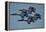 The U.S. Navy Flight Demonstration Squadron, the Blue Angels-null-Framed Premier Image Canvas