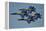 The U.S. Navy Flight Demonstration Squadron, the Blue Angels-null-Framed Premier Image Canvas