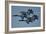 The U.S. Navy Flight Demonstration Squadron, the Blue Angels-null-Framed Photographic Print