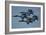 The U.S. Navy Flight Demonstration Squadron, the Blue Angels-null-Framed Photographic Print