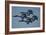 The U.S. Navy Flight Demonstration Squadron, the Blue Angels-null-Framed Photographic Print