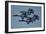 The U.S. Navy Flight Demonstration Squadron, the Blue Angels-null-Framed Photographic Print