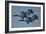 The U.S. Navy Flight Demonstration Squadron, the Blue Angels-null-Framed Photographic Print