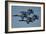 The U.S. Navy Flight Demonstration Squadron, the Blue Angels-null-Framed Photographic Print