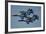 The U.S. Navy Flight Demonstration Squadron, the Blue Angels-null-Framed Photographic Print