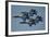 The U.S. Navy Flight Demonstration Squadron, the Blue Angels-null-Framed Photographic Print