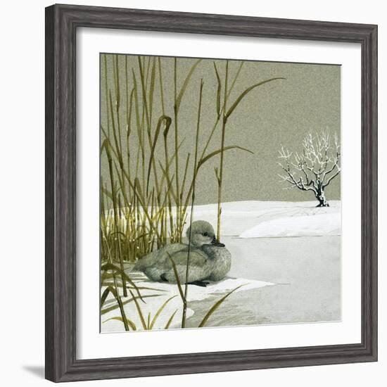 The Ugly Duckling-null-Framed Giclee Print