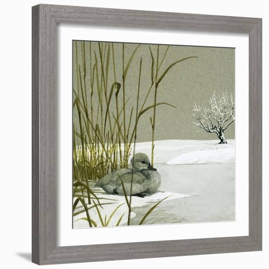 The Ugly Duckling-null-Framed Giclee Print