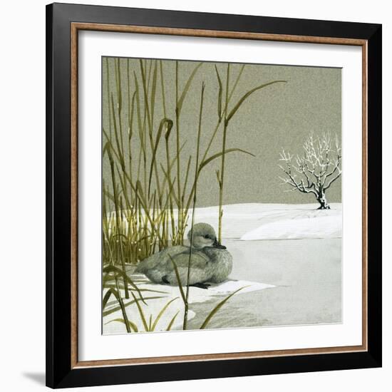 The Ugly Duckling-null-Framed Giclee Print