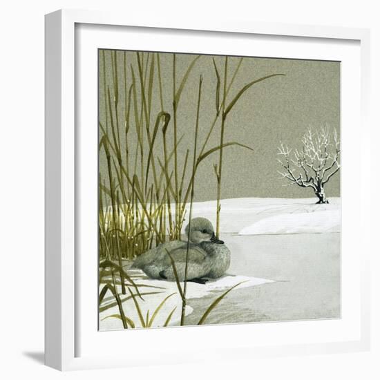 The Ugly Duckling-null-Framed Giclee Print