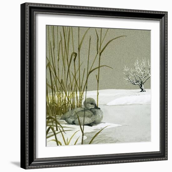 The Ugly Duckling-null-Framed Giclee Print