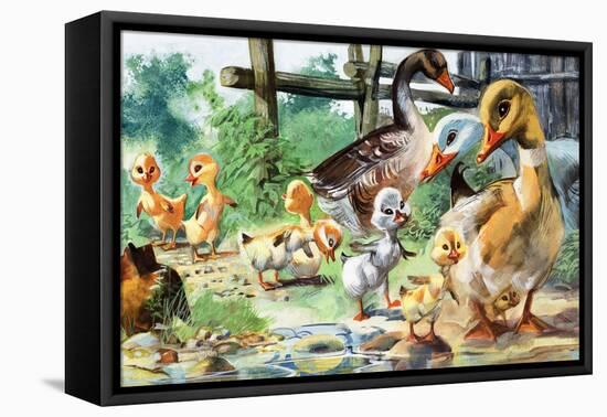 The Ugly Duckling-null-Framed Premier Image Canvas